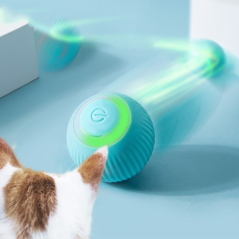 Bola Inteligente Cães e Gatos - Smart Ball™