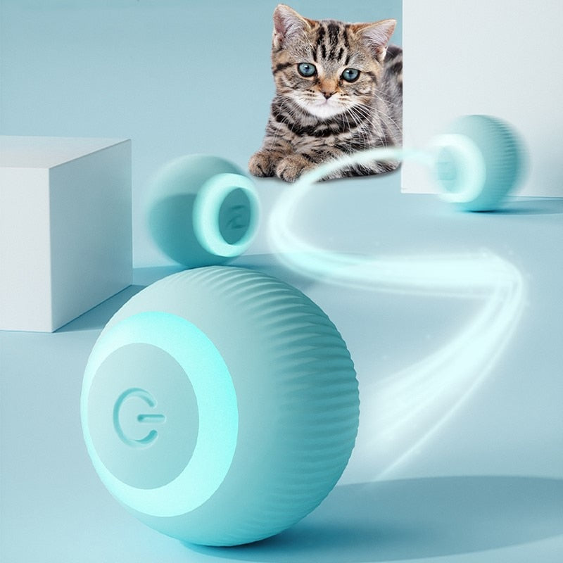 Bola Inteligente Cães e Gatos - Smart Ball™